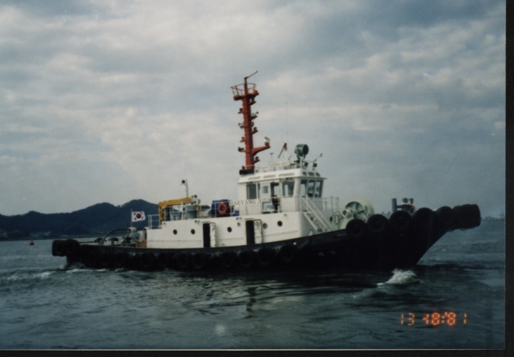 YSY-4.jpg